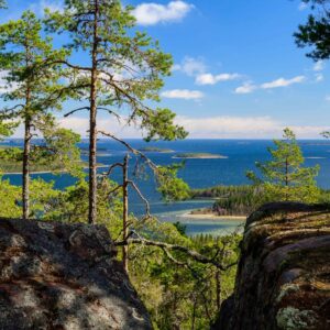 Granaty w drodze. W Parku Narodowym Skuleskogen. Granaty w drodze. W Parku Narodowym Skuleskogen.